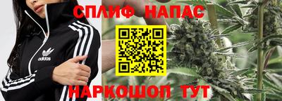 apvp Тулун