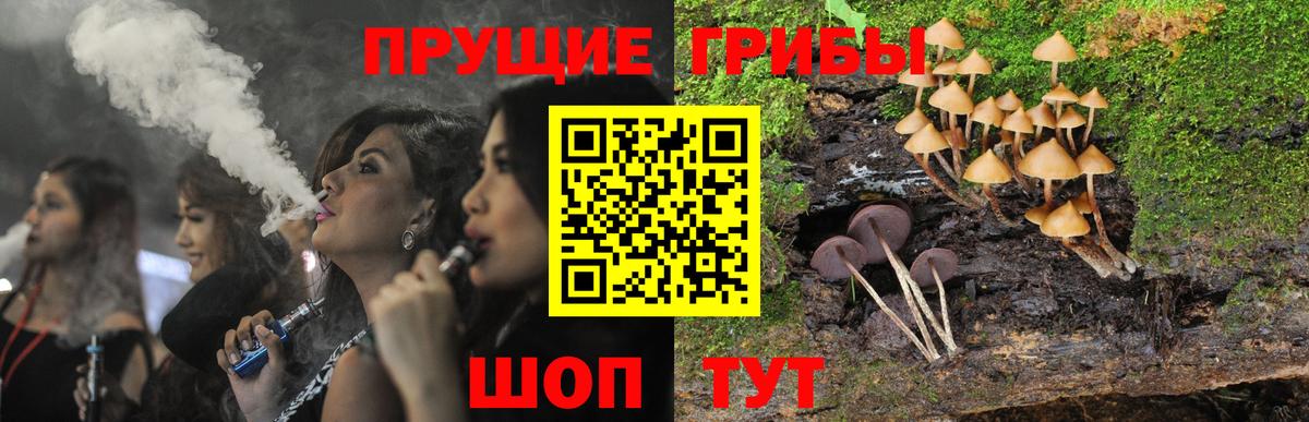 Галлюциногенные грибы прущие грибы  Псилоцибиновые грибы прущие грибы  Вход с VPN  где можно купить наркотик  Нижний Новгород 